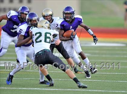 Thumbnail 2 in Birdville @ Paschal photogallery.