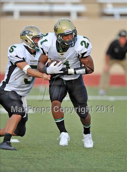 Thumbnail 2 in Birdville @ Paschal photogallery.