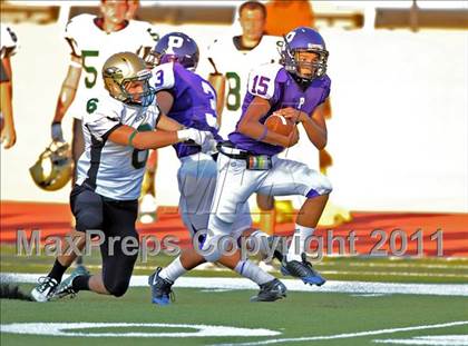 Thumbnail 1 in Birdville @ Paschal photogallery.