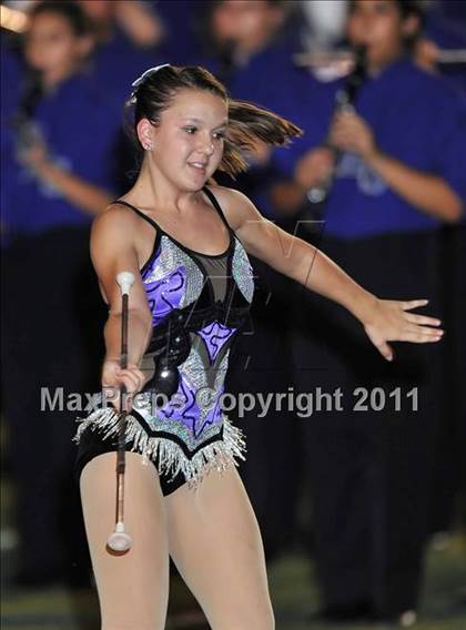 Thumbnail 2 in Birdville @ Paschal photogallery.