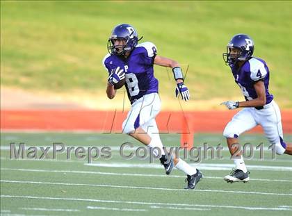 Thumbnail 3 in Birdville @ Paschal photogallery.