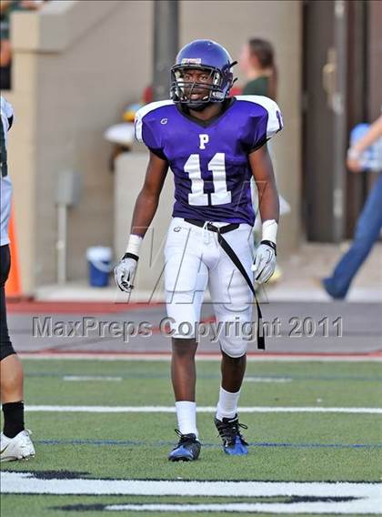 Thumbnail 3 in Birdville @ Paschal photogallery.