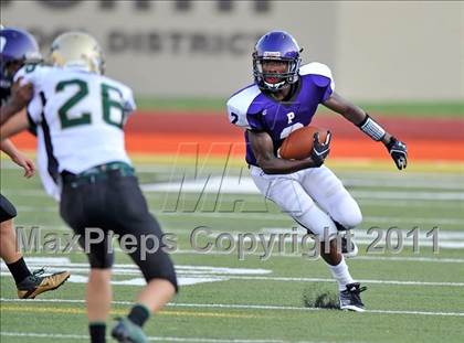 Thumbnail 2 in Birdville @ Paschal photogallery.