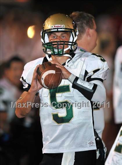 Thumbnail 2 in Birdville @ Paschal photogallery.