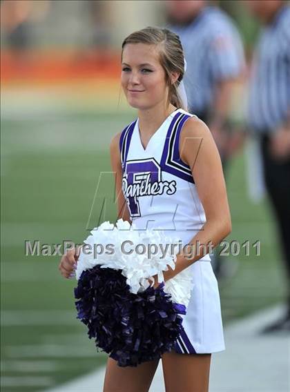 Thumbnail 1 in Birdville @ Paschal photogallery.