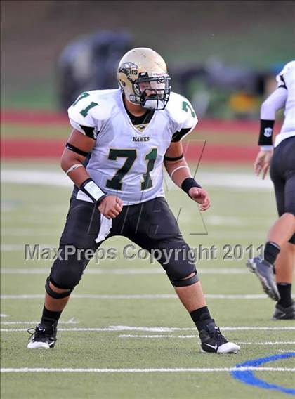 Thumbnail 3 in Birdville @ Paschal photogallery.