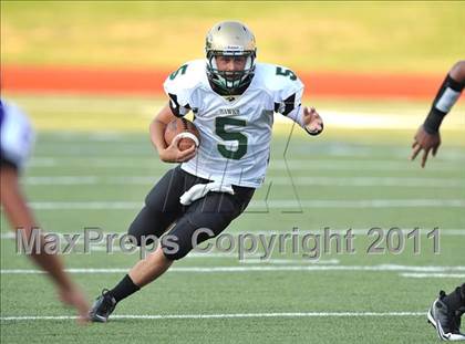 Thumbnail 1 in Birdville @ Paschal photogallery.