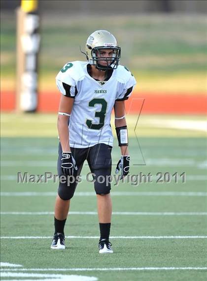 Thumbnail 1 in Birdville @ Paschal photogallery.