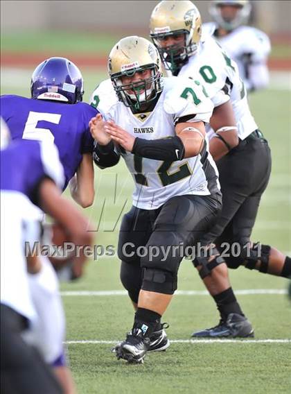Thumbnail 3 in Birdville @ Paschal photogallery.