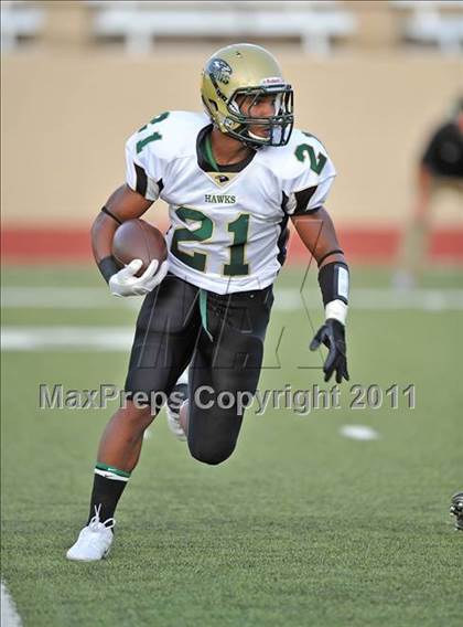 Thumbnail 2 in Birdville @ Paschal photogallery.
