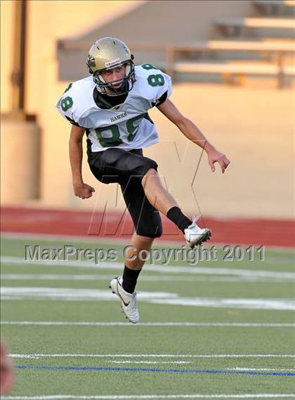Thumbnail 1 in Birdville @ Paschal photogallery.