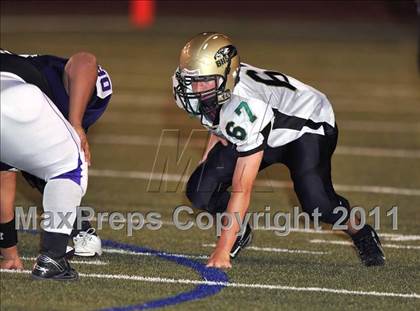 Thumbnail 2 in Birdville @ Paschal photogallery.
