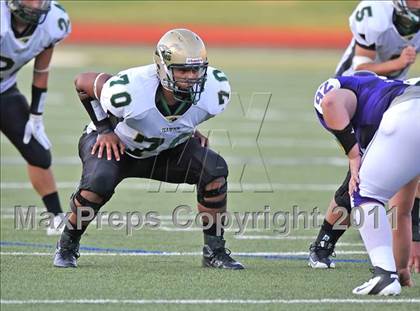Thumbnail 1 in Birdville @ Paschal photogallery.