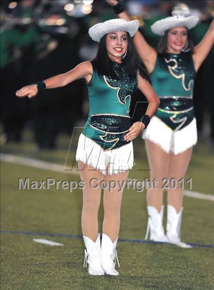 Thumbnail 1 in Birdville @ Paschal photogallery.
