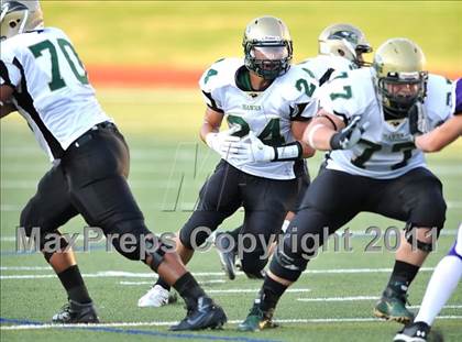 Thumbnail 2 in Birdville @ Paschal photogallery.