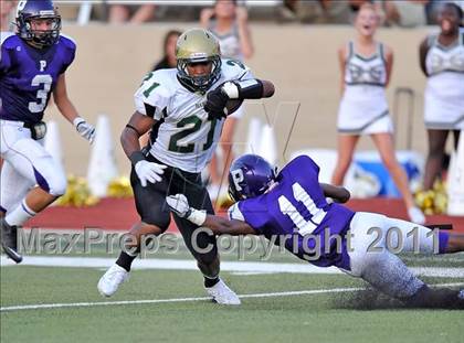Thumbnail 2 in Birdville @ Paschal photogallery.