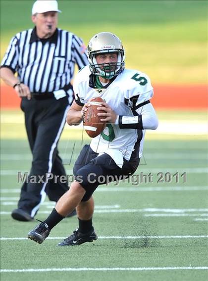Thumbnail 1 in Birdville @ Paschal photogallery.