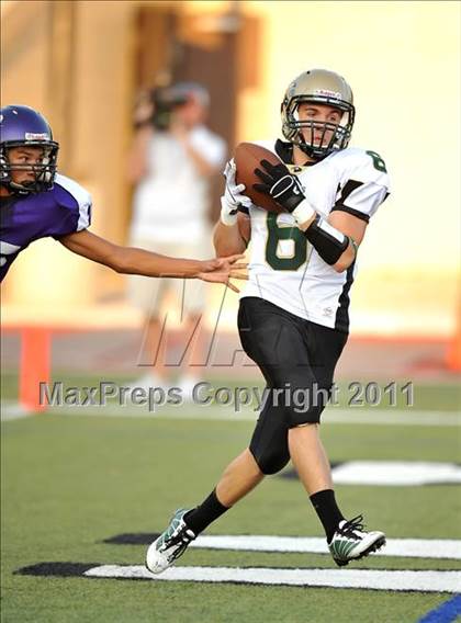 Thumbnail 2 in Birdville @ Paschal photogallery.