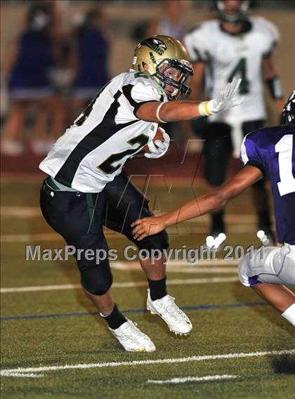 Thumbnail 2 in Birdville @ Paschal photogallery.