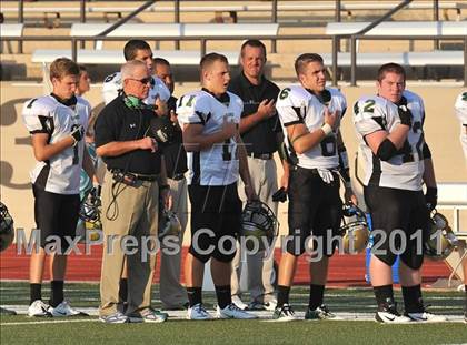 Thumbnail 3 in Birdville @ Paschal photogallery.