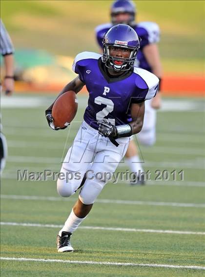 Thumbnail 3 in Birdville @ Paschal photogallery.
