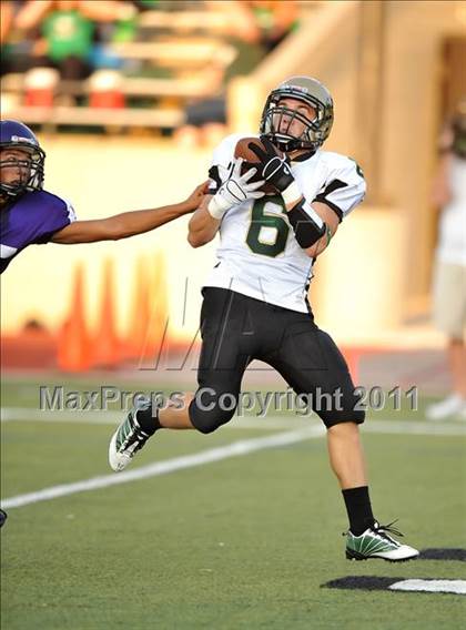 Thumbnail 1 in Birdville @ Paschal photogallery.