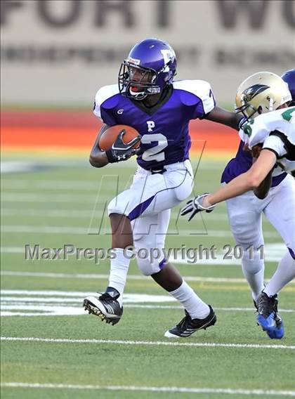 Thumbnail 3 in Birdville @ Paschal photogallery.
