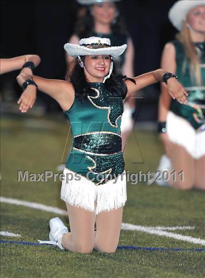 Thumbnail 2 in Birdville @ Paschal photogallery.
