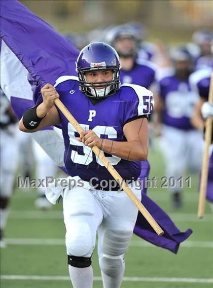 Thumbnail 2 in Birdville @ Paschal photogallery.