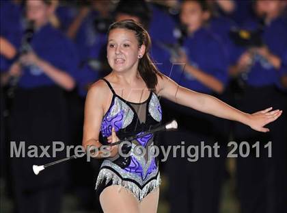 Thumbnail 3 in Birdville @ Paschal photogallery.