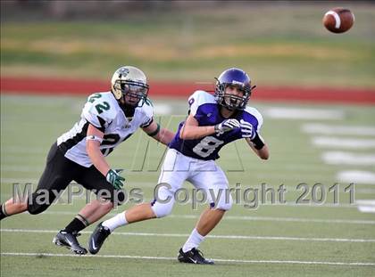 Thumbnail 3 in Birdville @ Paschal photogallery.