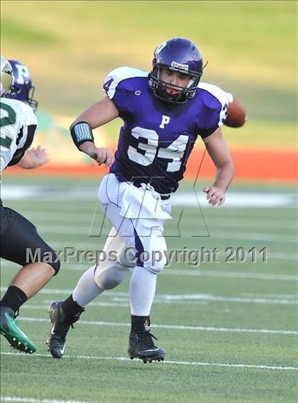 Thumbnail 3 in Birdville @ Paschal photogallery.