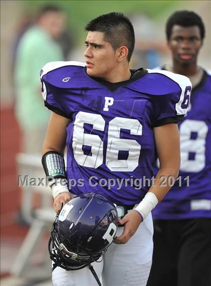 Thumbnail 1 in Birdville @ Paschal photogallery.