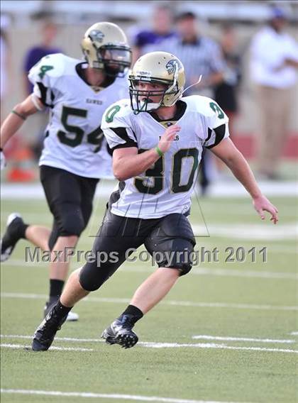 Thumbnail 2 in Birdville @ Paschal photogallery.