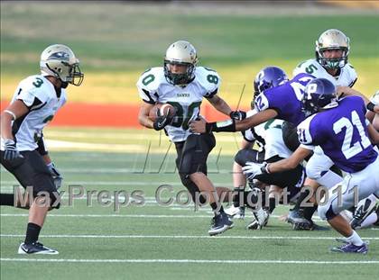 Thumbnail 1 in Birdville @ Paschal photogallery.