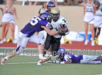 Thumbnail 3 in Birdville @ Paschal photogallery.