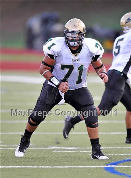 Thumbnail 2 in Birdville @ Paschal photogallery.