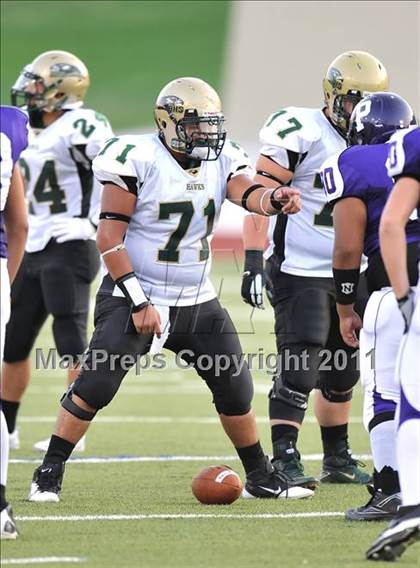 Thumbnail 3 in Birdville @ Paschal photogallery.