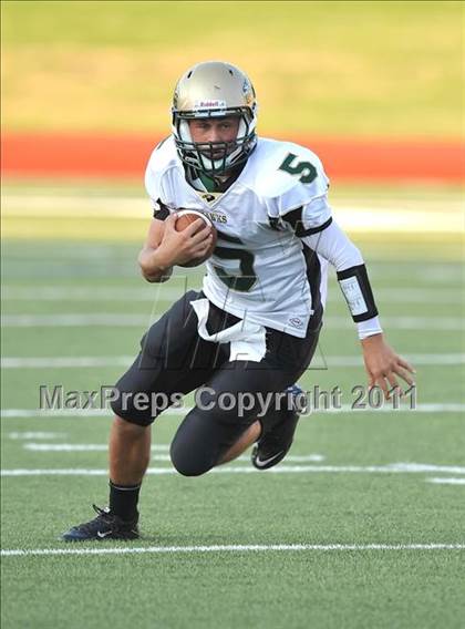 Thumbnail 3 in Birdville @ Paschal photogallery.