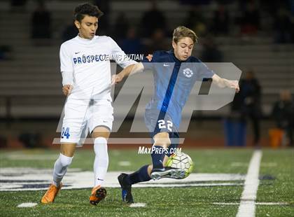Thumbnail 3 in Prospect @ Branham photogallery.
