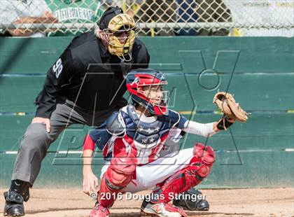 Thumbnail 1 in American @ Moreau Catholic photogallery.