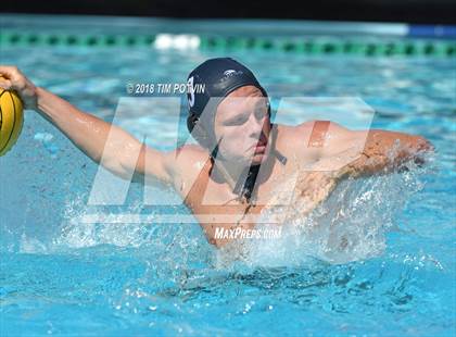 Thumbnail 3 in Greenwich vs La Jolla photogallery.