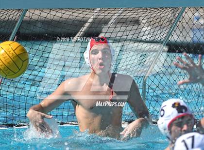 Thumbnail 2 in Greenwich vs La Jolla photogallery.