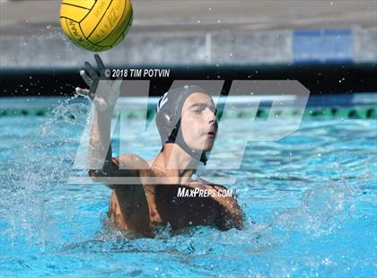 Thumbnail 2 in Greenwich vs La Jolla photogallery.