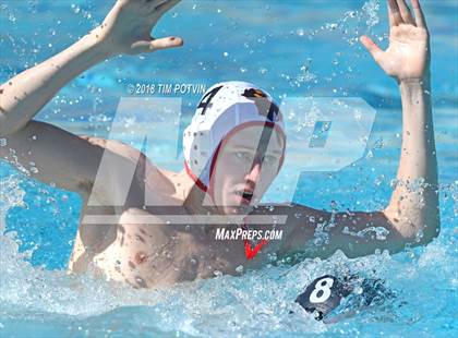 Thumbnail 1 in Greenwich vs La Jolla photogallery.