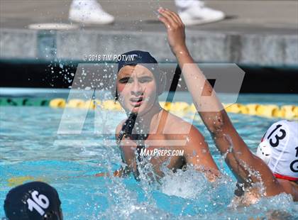 Thumbnail 1 in Greenwich vs La Jolla photogallery.