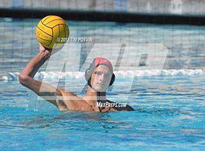 Thumbnail 2 in Greenwich vs La Jolla photogallery.