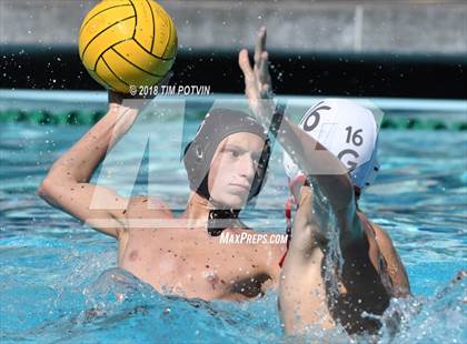 Thumbnail 3 in Greenwich vs La Jolla photogallery.