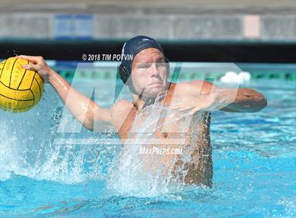 Thumbnail 2 in Greenwich vs La Jolla photogallery.