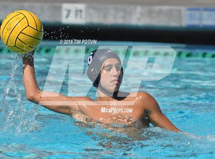 Thumbnail 3 in Greenwich vs La Jolla photogallery.